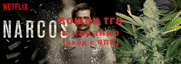 гашик Балахна