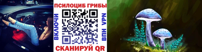 Псилоцибиновые грибы ЛСД  Гороховец 