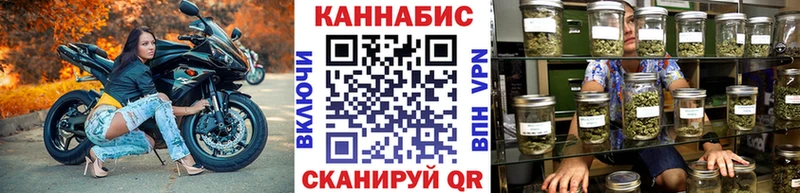 купить   Гороховец  Конопля семена 